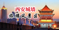 白虎逼看片中国陕西-西安城墙旅游风景区