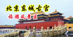 日本老妇女操逼中国北京-东城古宫旅游风景区