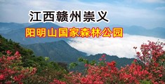 騒逼老妈视频